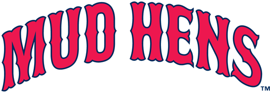 Toledo Mud Hens 19-2005 Wordmark Logo iron on transfers for T-shirts